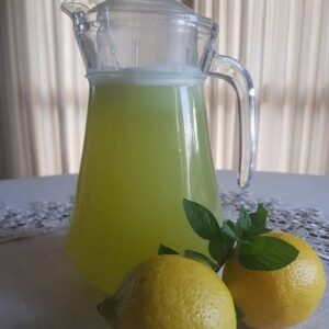 Jarra Limonada Frozen Menta Jengibre
